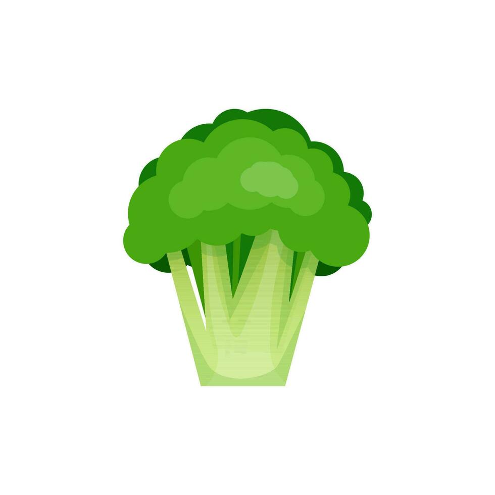 vert brocoli sur blanc Contexte vecteur