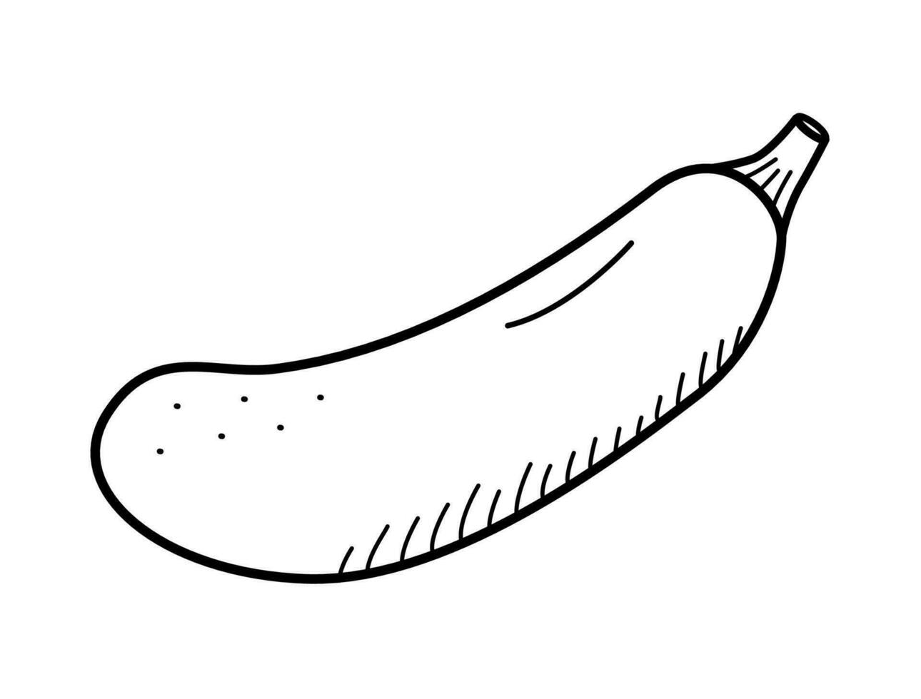 Zucchini écraser esquisser griffonnage icône. vecteur Célibataire illustration sur une blanc Contexte.