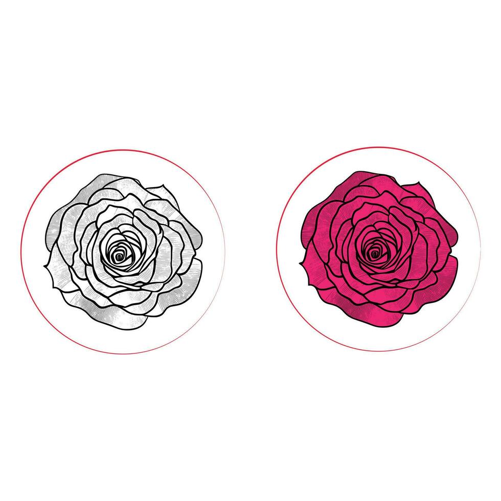 Rose main tiré crayon esquisser, coloration page, et livre, Rose fleur contour, illustration encre art. Rose vecteur art.