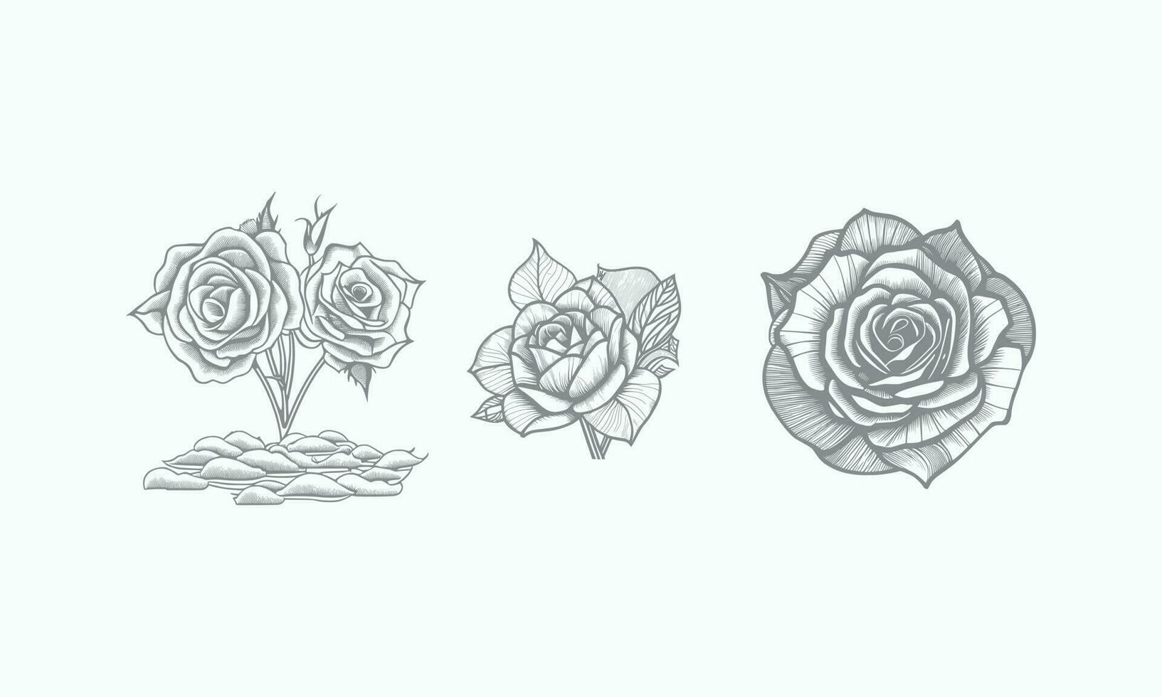 des roses main tiré crayon esquisser, coloration page, et livre, Rose fleur contour, illustration encre art. Rose vecteur art.