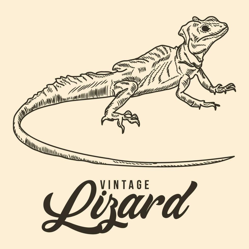 ancien main dessin lézard esquisser vecteur Stock illustration