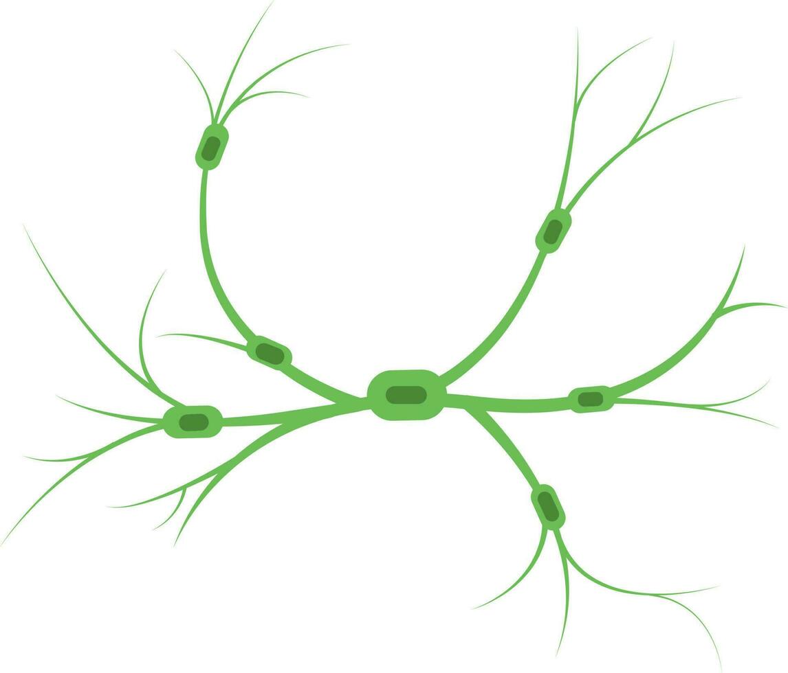 plat illustration de lymphe nœuds vert icône. vecteur