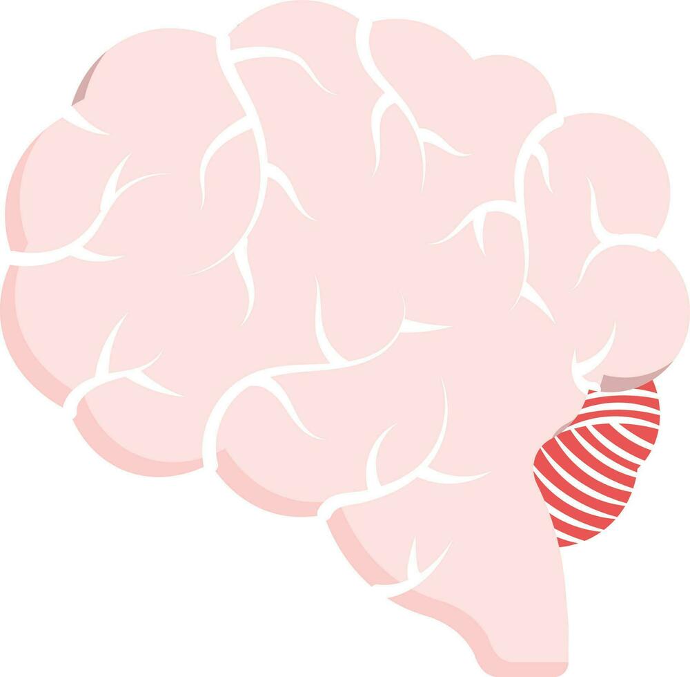 rose et blanc cerveau anatomie plat icône. vecteur