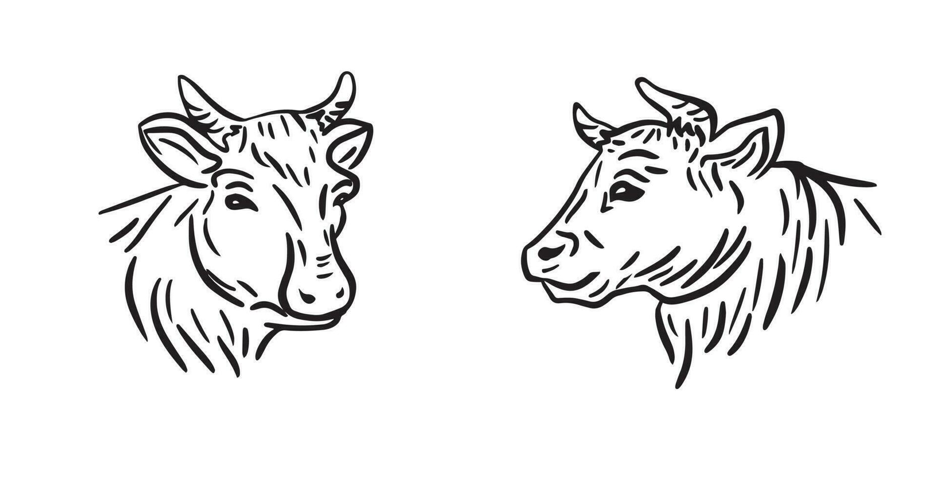 vecteur de vache tête conception sur blanc Contexte. ferme animal. vaches logos ou icônes.vecteur main tiré illustration dans griffonnage style.