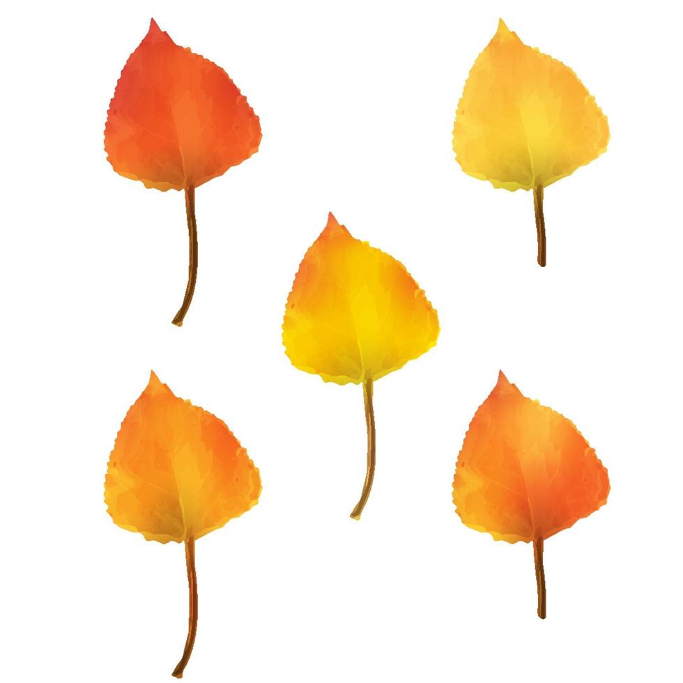 feuilles de bouleau réalistes dans des couleurs d'automne changeantes vecteur