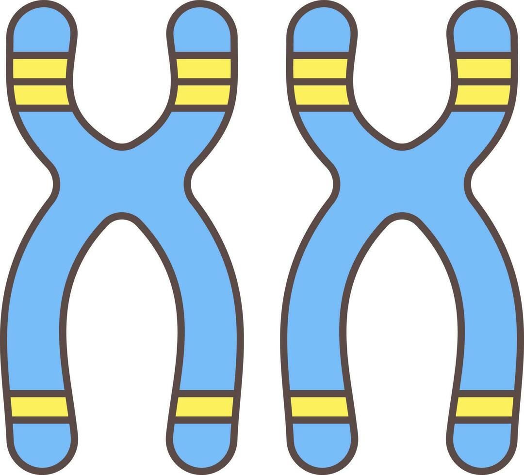 deux chromosome plat icône dans Jaune et bleu couleur. vecteur