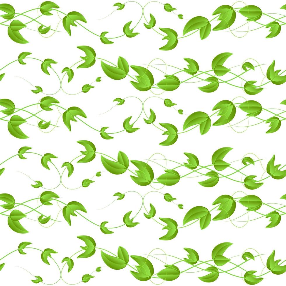 Modèle sans couture de vecteur l avec pousses de lierre en osier vert et feuilles avec coeur sur fond blanc