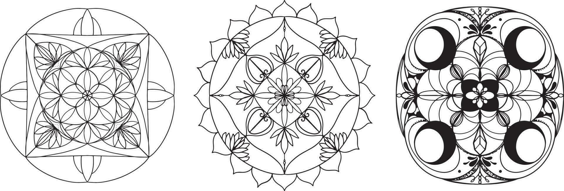 mandala vecteur graphique. mandala ensemble ligne art. mandala avec plante éléments. mandala avec lune graphique