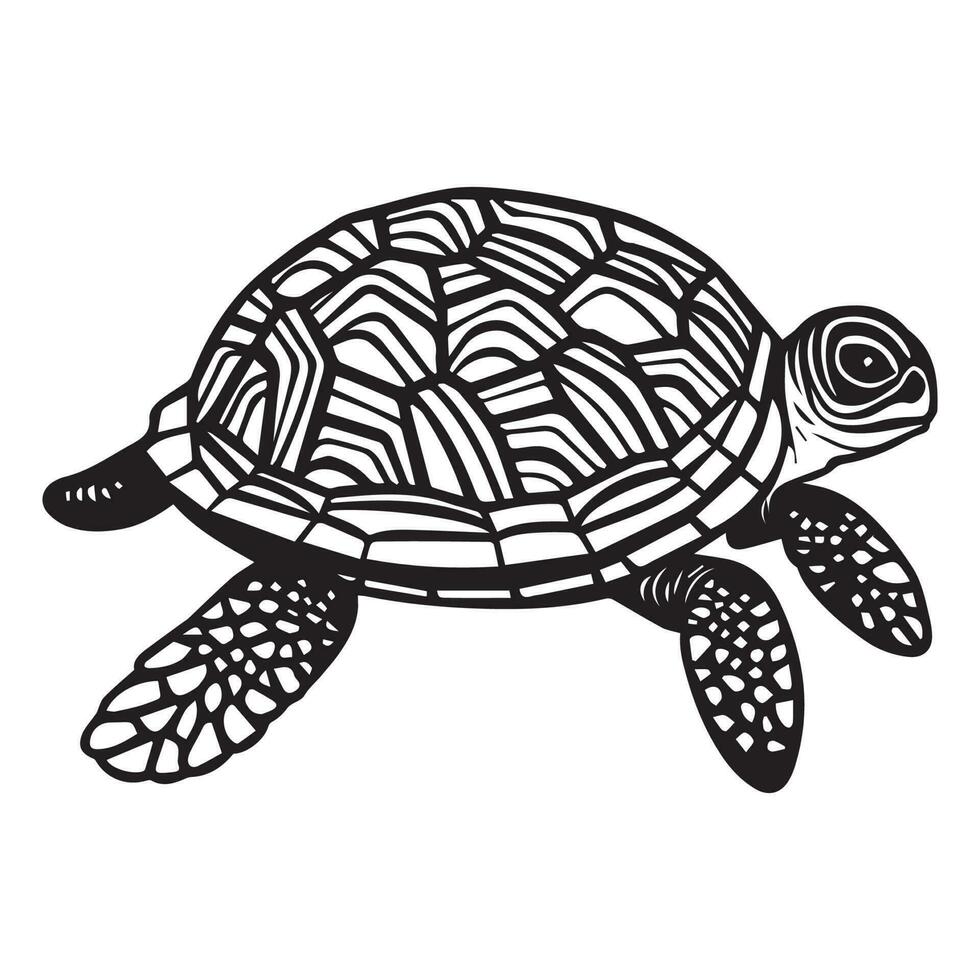 tortue clipart vecteur illustration, tortue vecteur ligne art silhouette.