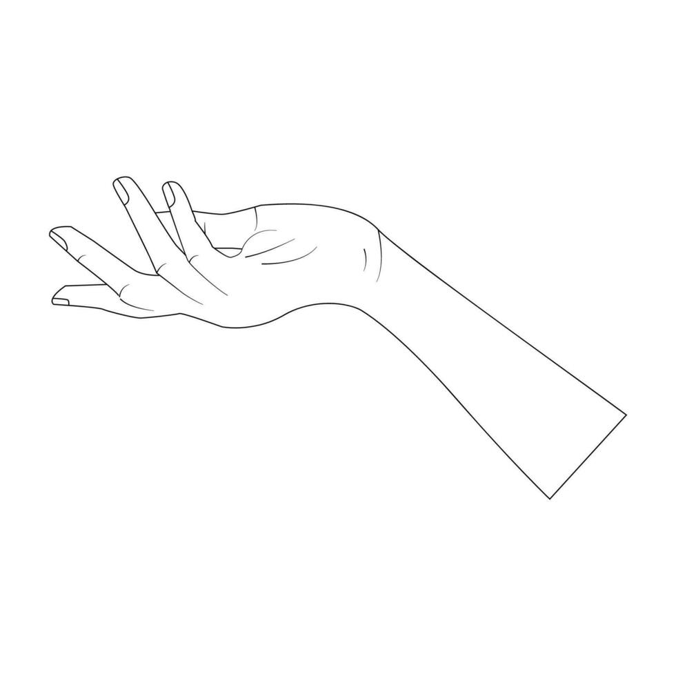Humain femelle main dans atteindre geste. noir et blanc ligne art vecteur