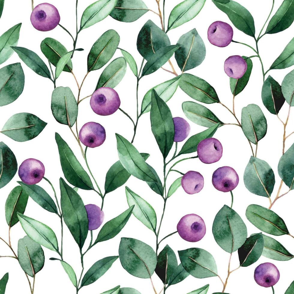aquarelle sans couture modèle avec violet baies et eucalyptus feuilles sur une blanc Contexte vecteur