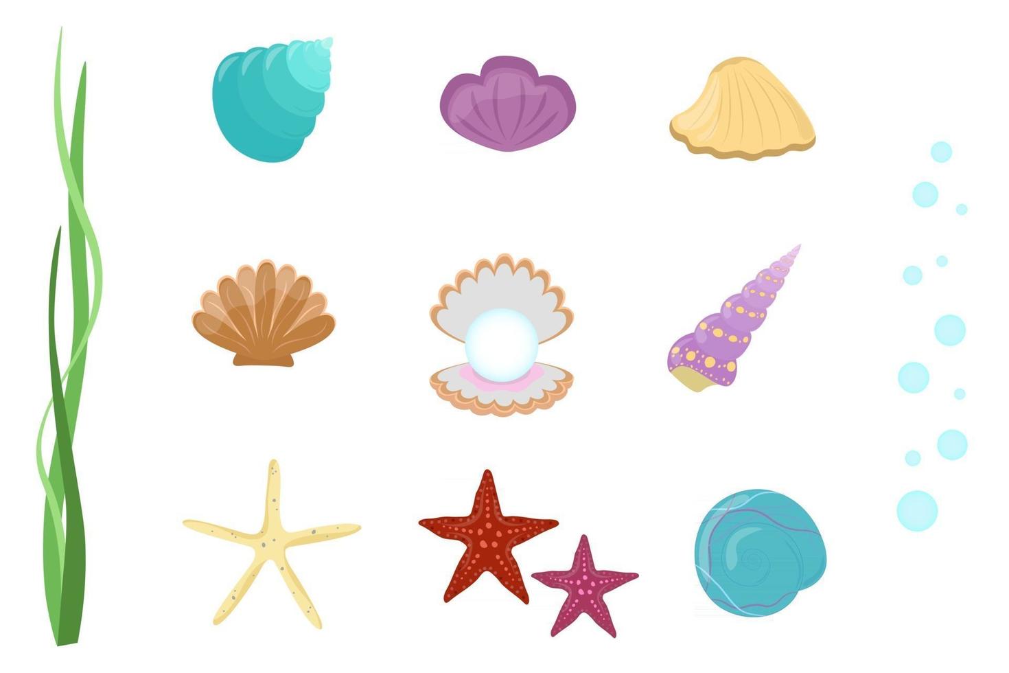 coquillages et étoiles de mer set vector collection d'éléments sous-marins sur fond blanc