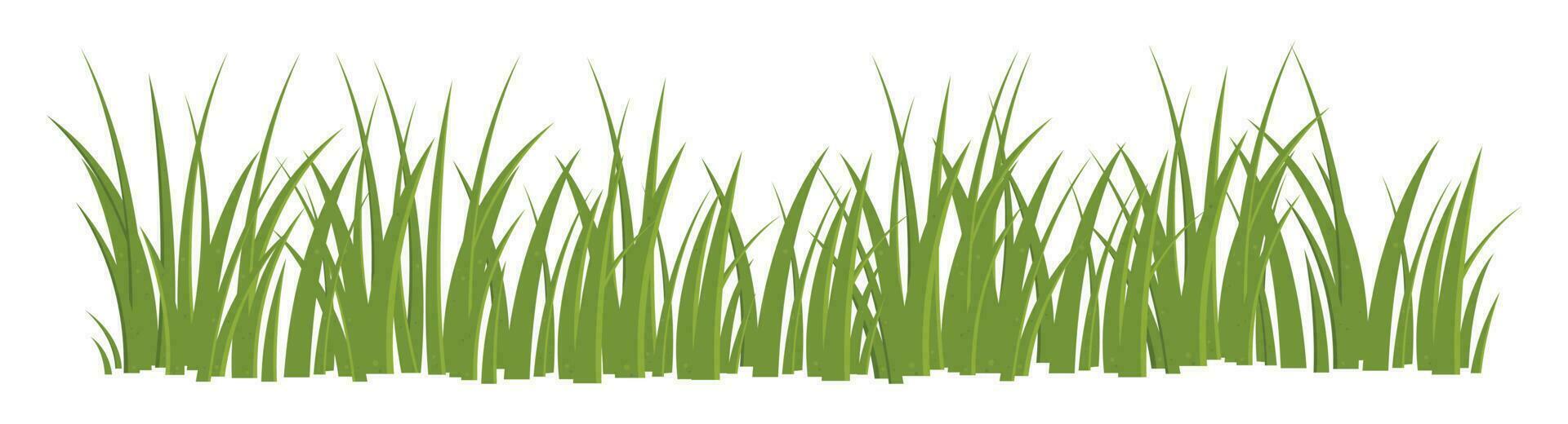 dessin animé herbe feuilles collection vecteur illustration isolé sur blanc