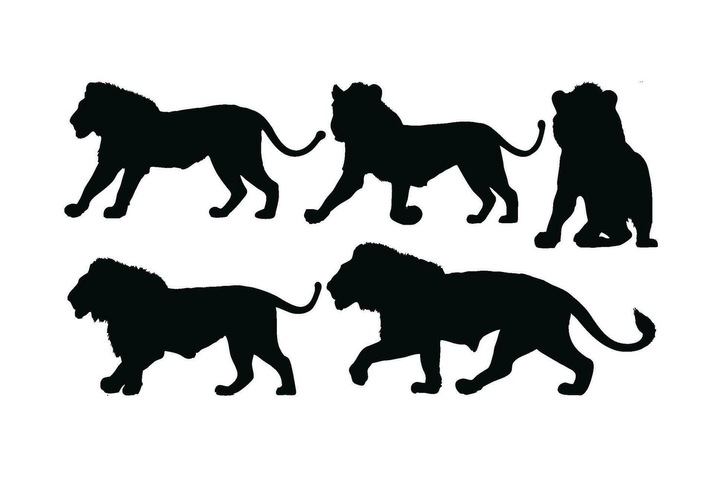les Lions en marchant dans différent postes, silhouette ensemble vecteur. adulte Lion silhouette collection sur une blanc Contexte. sauvage carnivore animaux comme gros chats et les Lions, plein corps silhouette liasses. vecteur