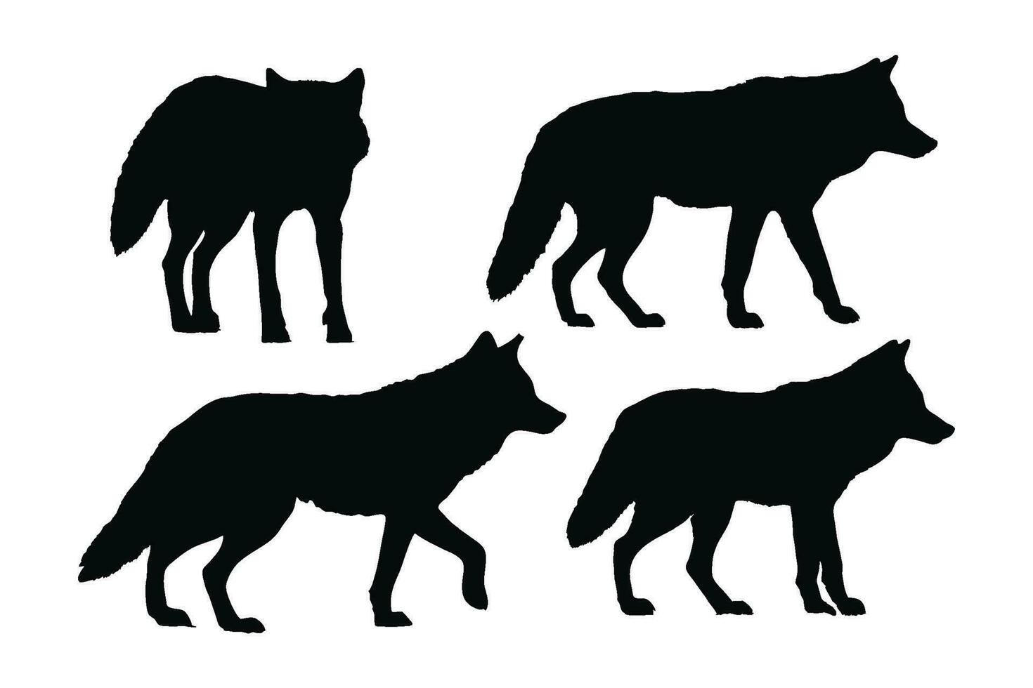 coyote permanent conception sur une blanc Contexte. sauvage coyote silhouette ensemble vecteur. coyote Loup silhouette paquet conception. carnivore animaux en marchant dans différent postes silhouette collection. vecteur