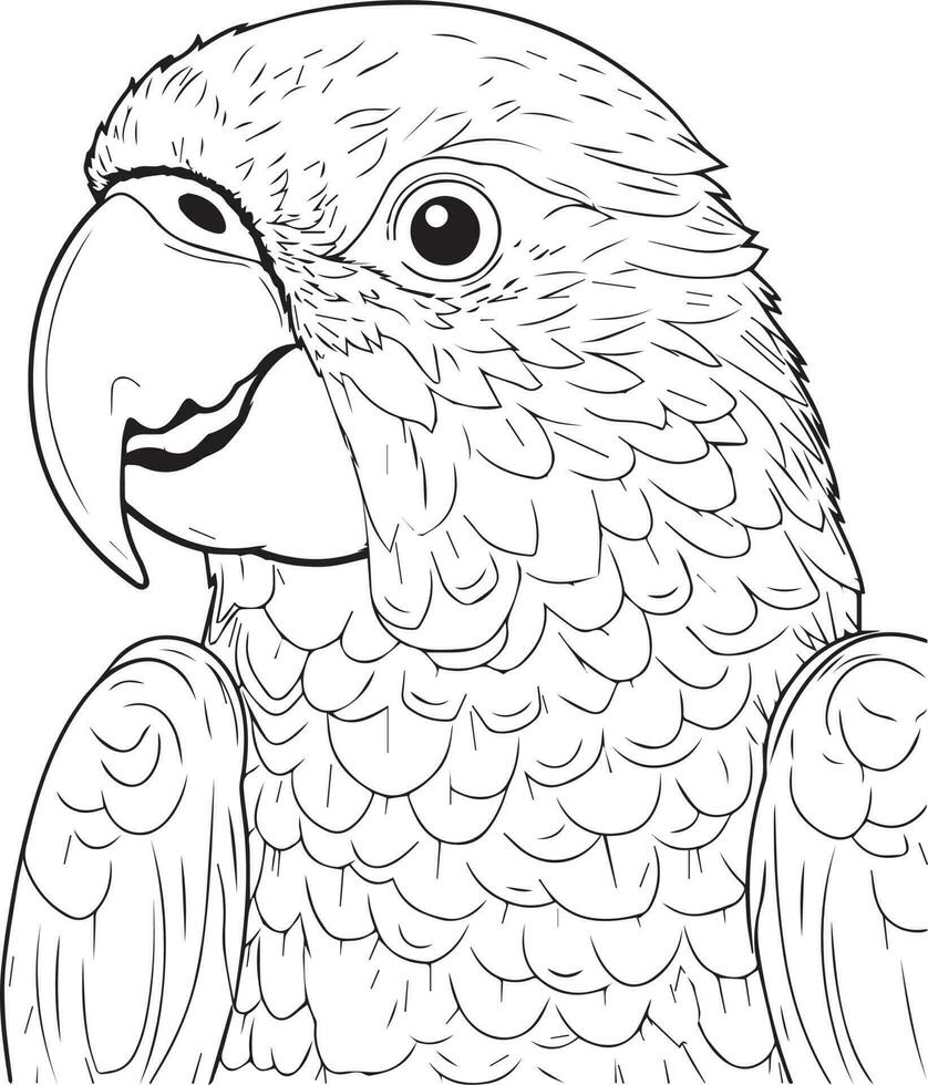 perroquet oiseau illustration, mignonne perroquet coloration page pour des gamins et adulte, perroquet mascotte logo, perroquet oiseau vecteur conception