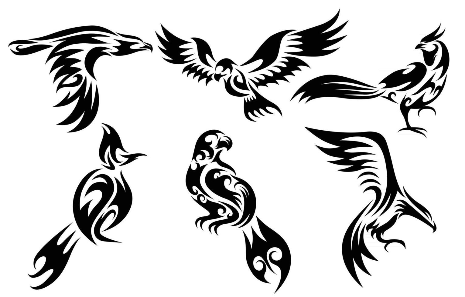 ensemble de six images vectorielles de divers oiseaux tels que le faisan aigle faucon et le bulbul de broche vecteur