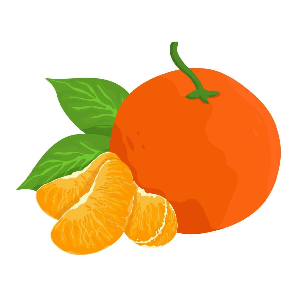 mandarin Frais Orange des fruits, feuilles vecteur élément. ensemble de ensemble, Couper dans moitié, tranché sur pièces Orange jus