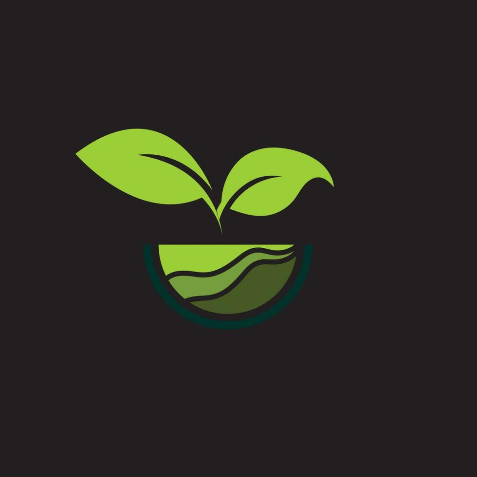 logo de plante biologique vecteur