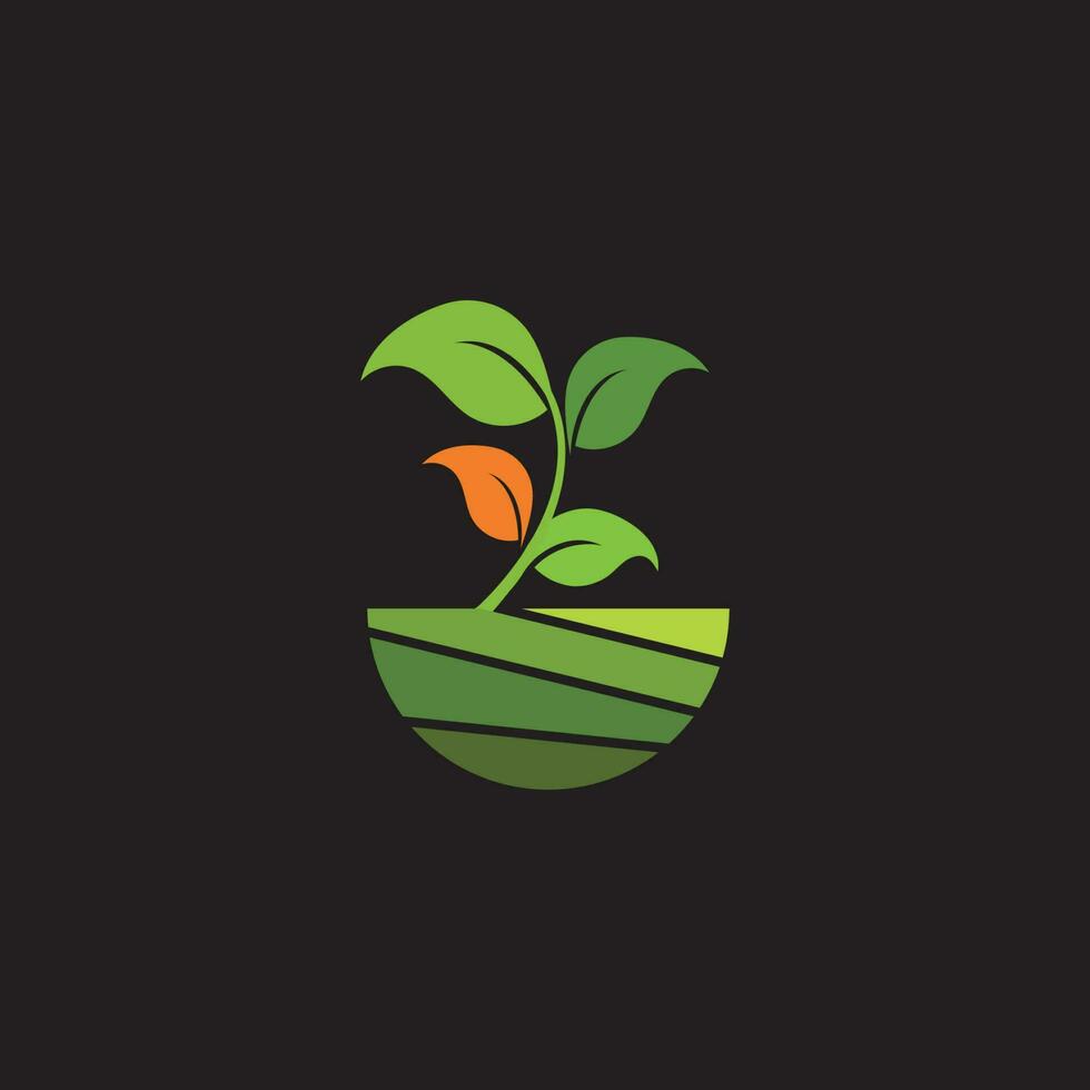 logo de plante biologique vecteur