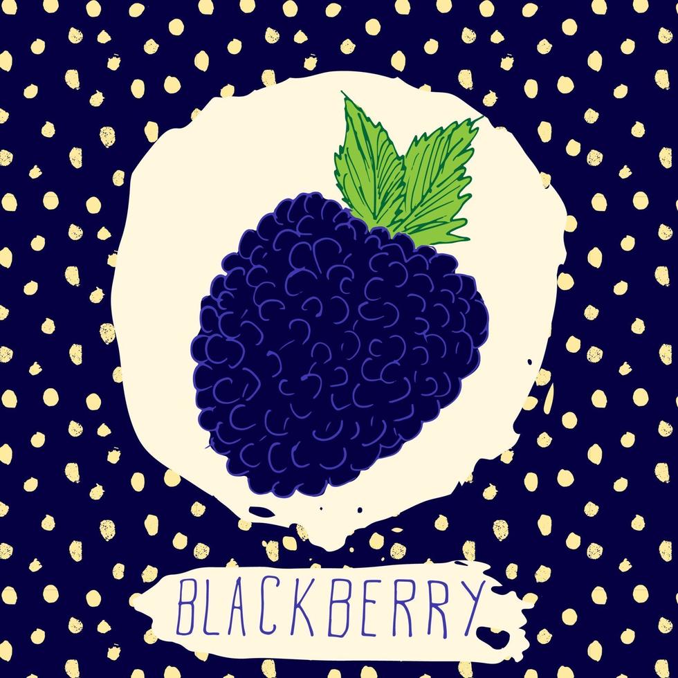 fruits dessinés à la main de mûre avec feuille sur fond bleu avec motif de points doodle vector blackberry pour identité de marque logo étiquette