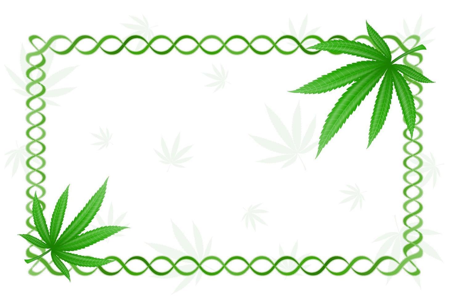 illustration de vecteur de légalisation de drogue médicinale feuille de marijuana cannabis isolé sur fond blanc