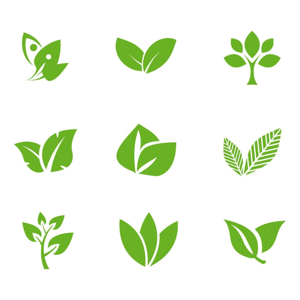 icône logo naturel, à base de plantes, BIO, écologie, feuilles. vecteur