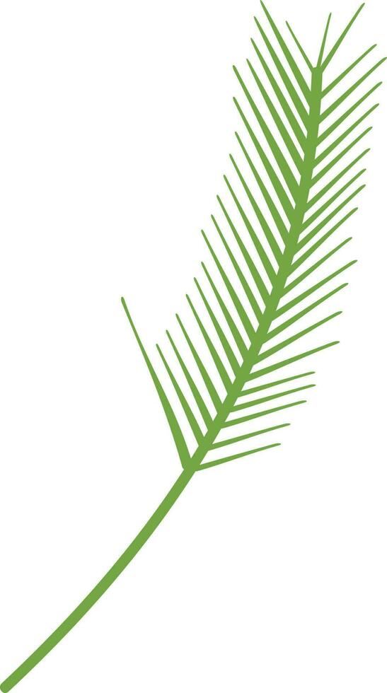illustration de une vert sapin feuille. vecteur