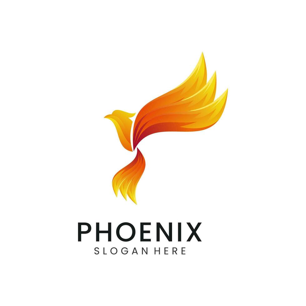 phénix pente logo conception modèle 3 vecteur