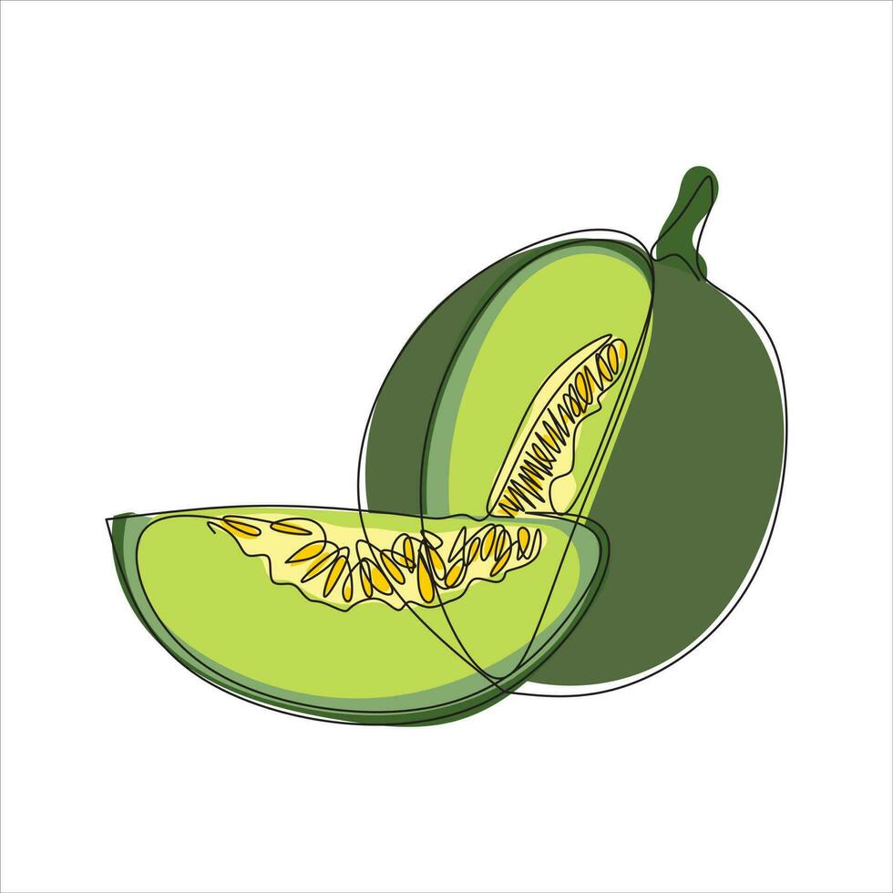 vecteur melon fruit dessin de un continu doubler. Couleur illustration de melon fruit dans le style de un ligne art