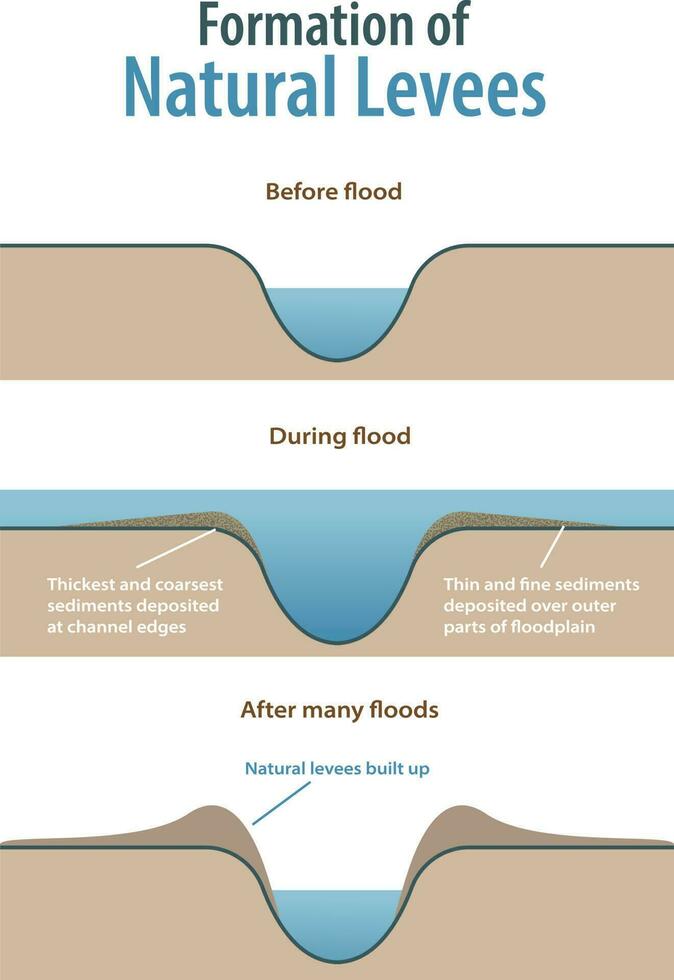 formation de Naturel digues infographie vecteur