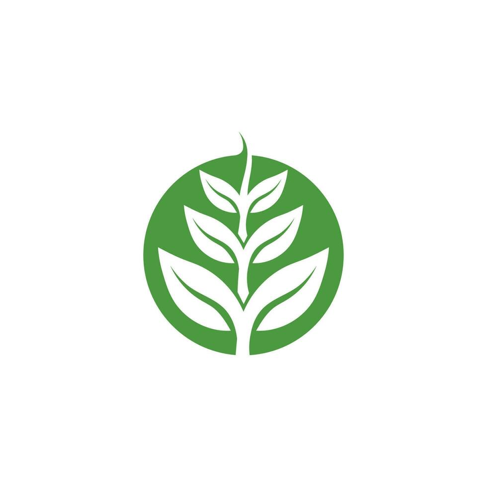 vecteur de feuille d & # 39; arbre et concept convivial de conception de logo vert