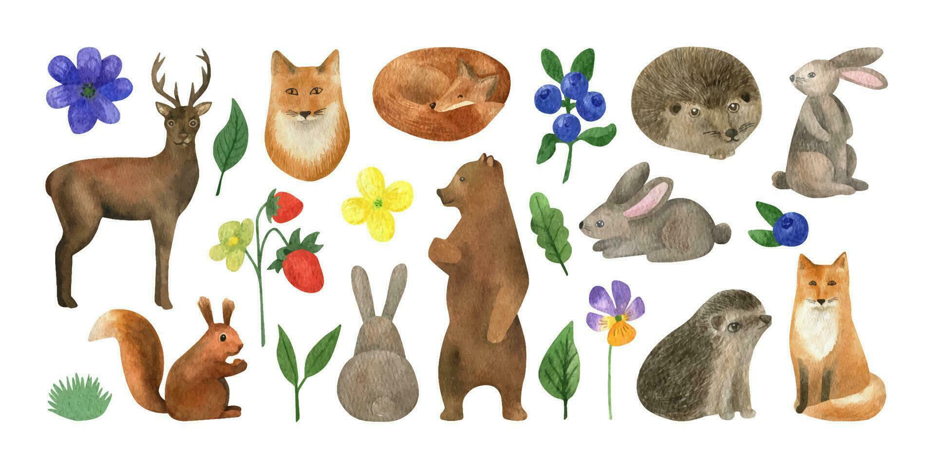 main tiré aquarelle animaux hérisson lièvre, écureuil, Renard, ours avec été fleurs et baies vecteur