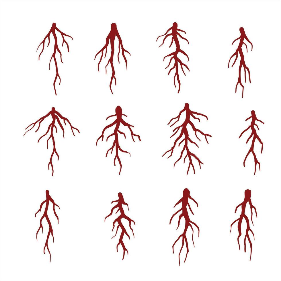 ensemble de marron arbre racines. silhouette vecteur illustration. souterrain plante