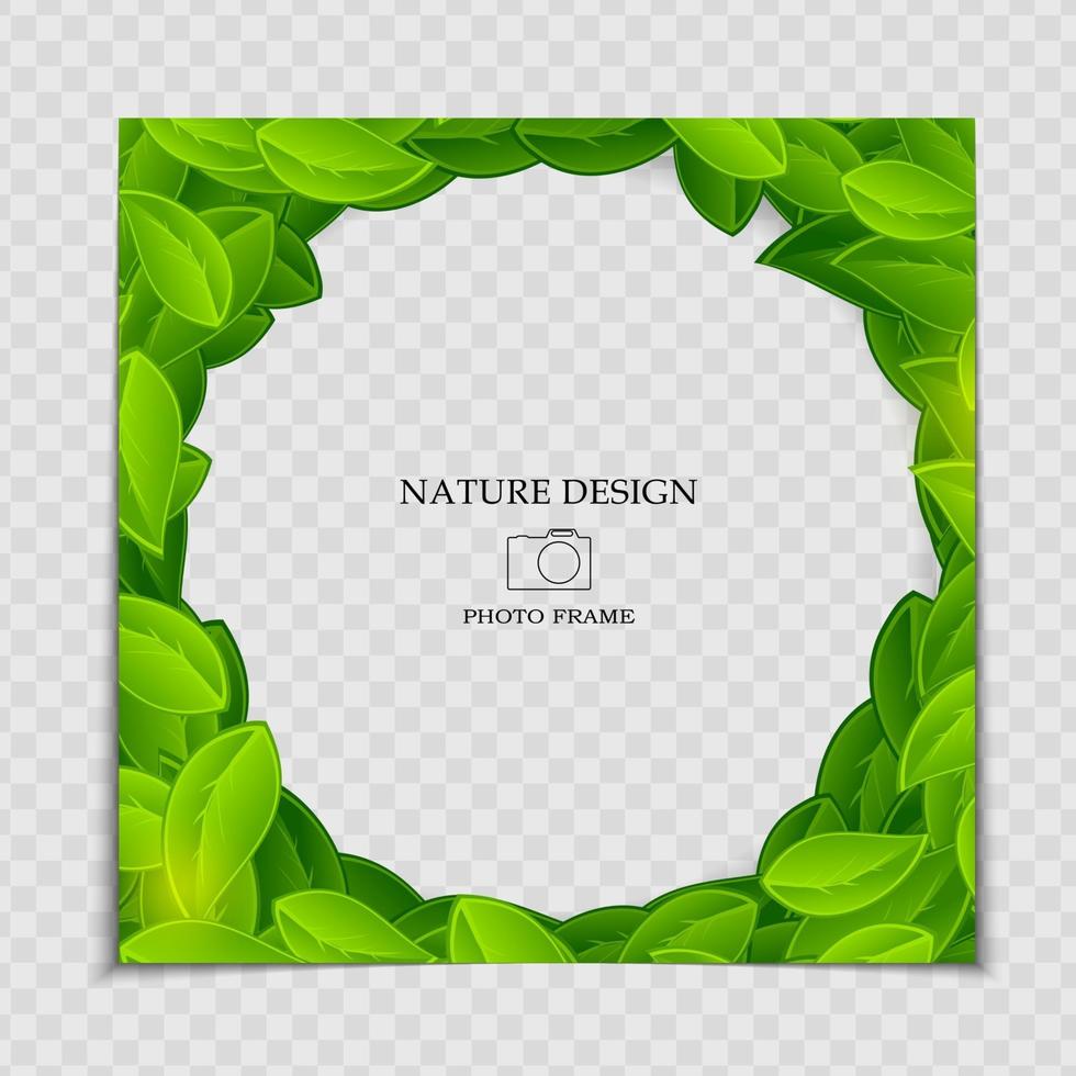 modèle de cadre photo de fond naturel avec des feuilles vertes pour publication dans un réseau social vecteur