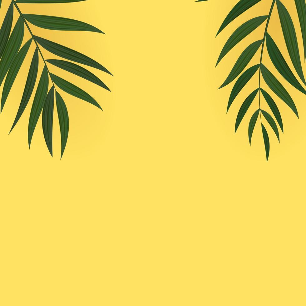 fond tropical abstrait feuille de palmier vert réaliste vecteur