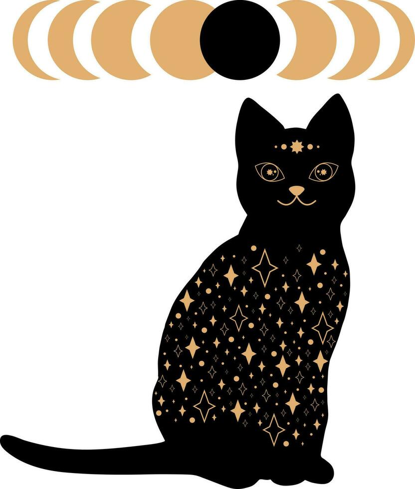 noir magique chat avec étoile modèle et éclipse étapes. astrologie et mystère. vecteur illustration isolé sur blanc Contexte