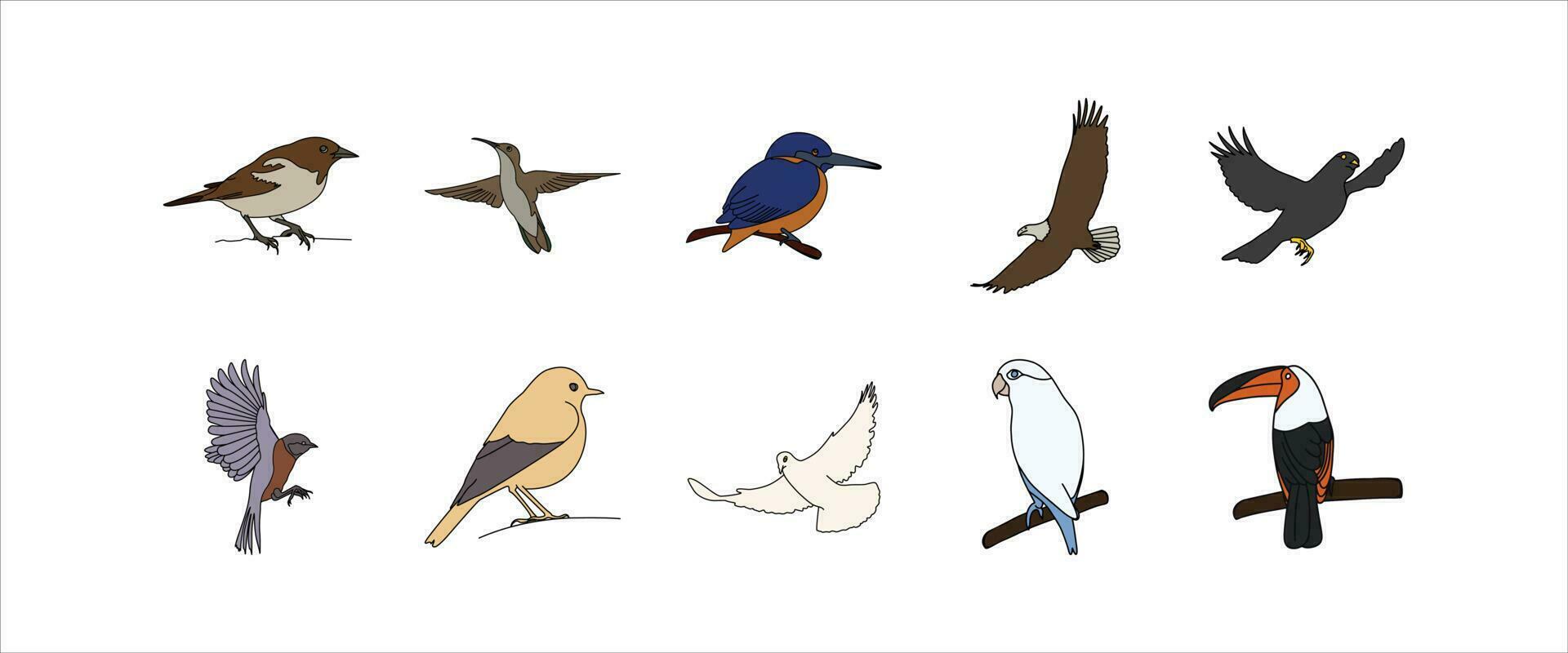 oiseau illustration vecteur ensemble