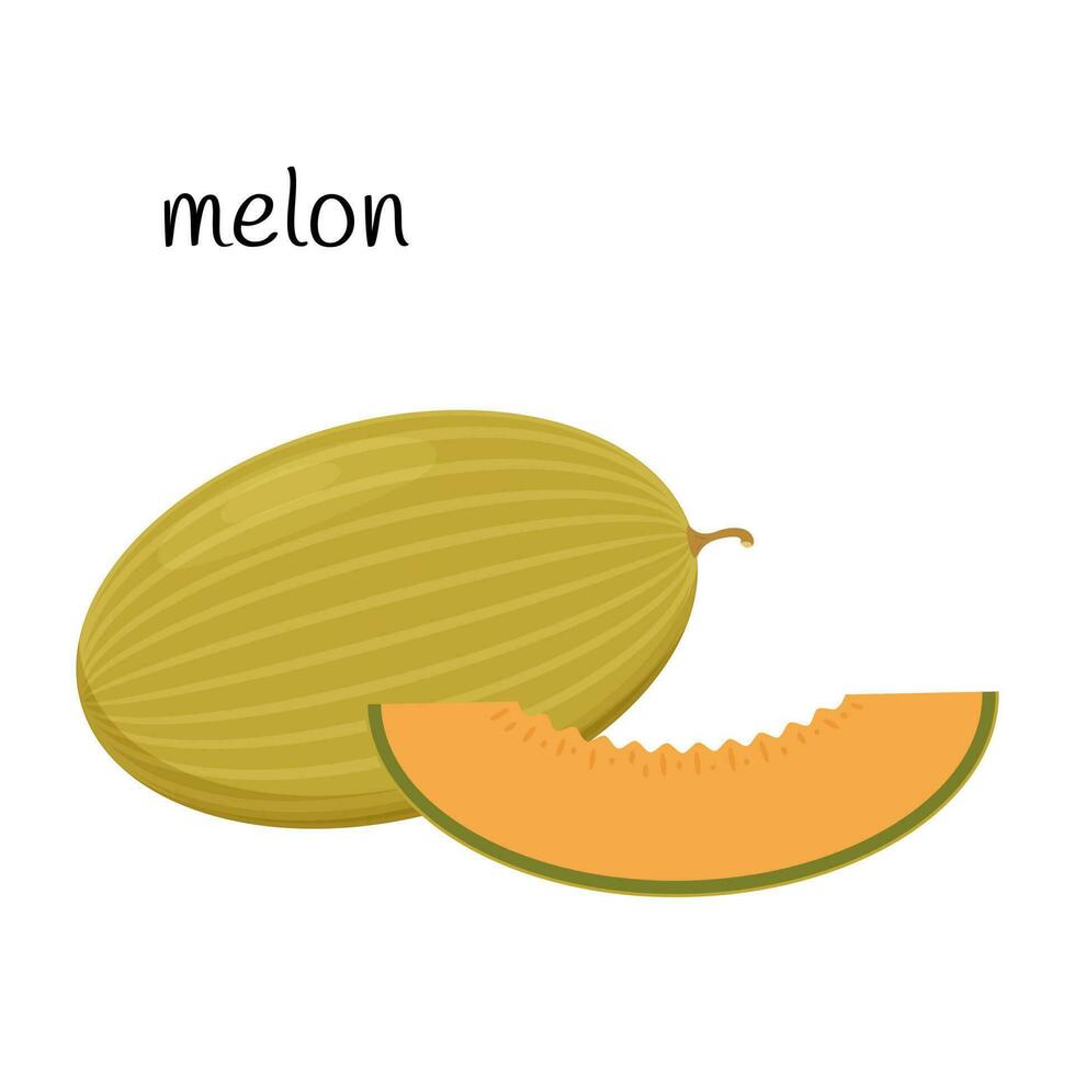 melon entier et Couper de une tranche de fruit, baie icône. plat conception. Couleur vecteur illustration isolé sur une blanc Contexte.