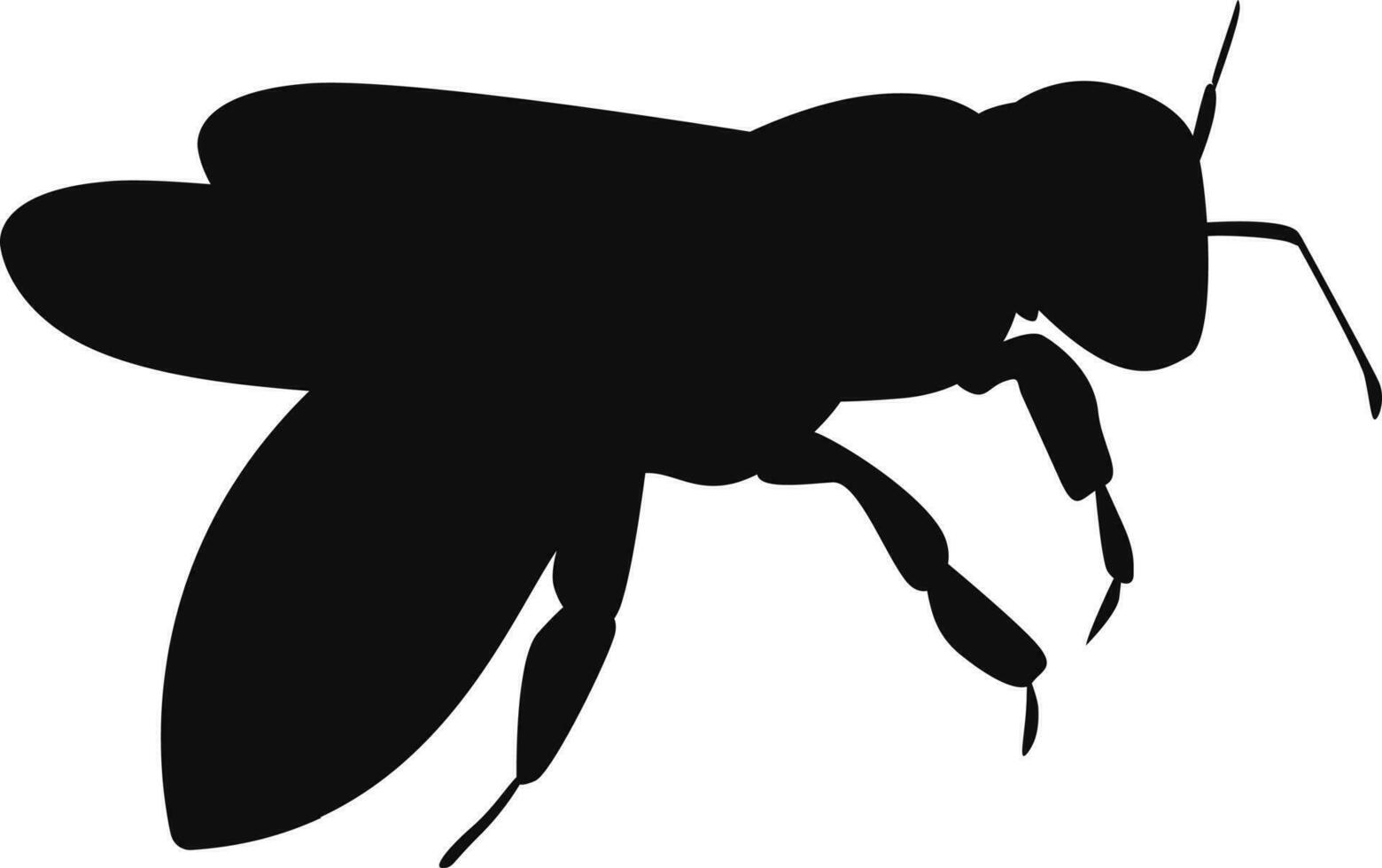abeille silhouette, guêpe silhouette, insecte, noir remplir, reconnaître le animal vecteur