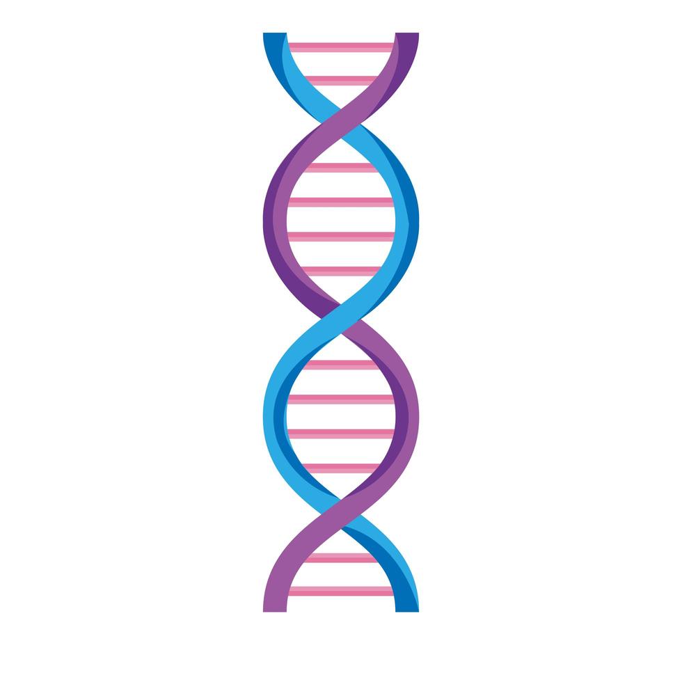 molécule d'ADN violet vecteur