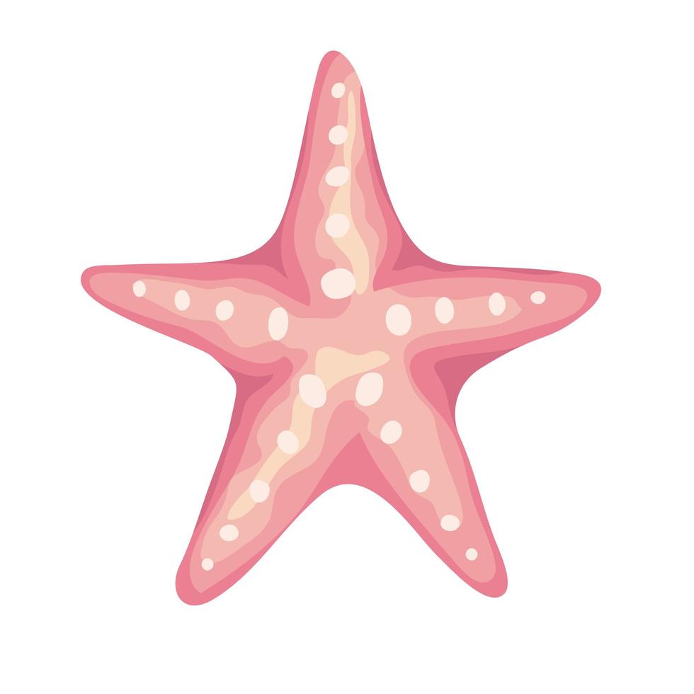 étoile de mer coquille de mer icône isolé rose de couleur vecteur