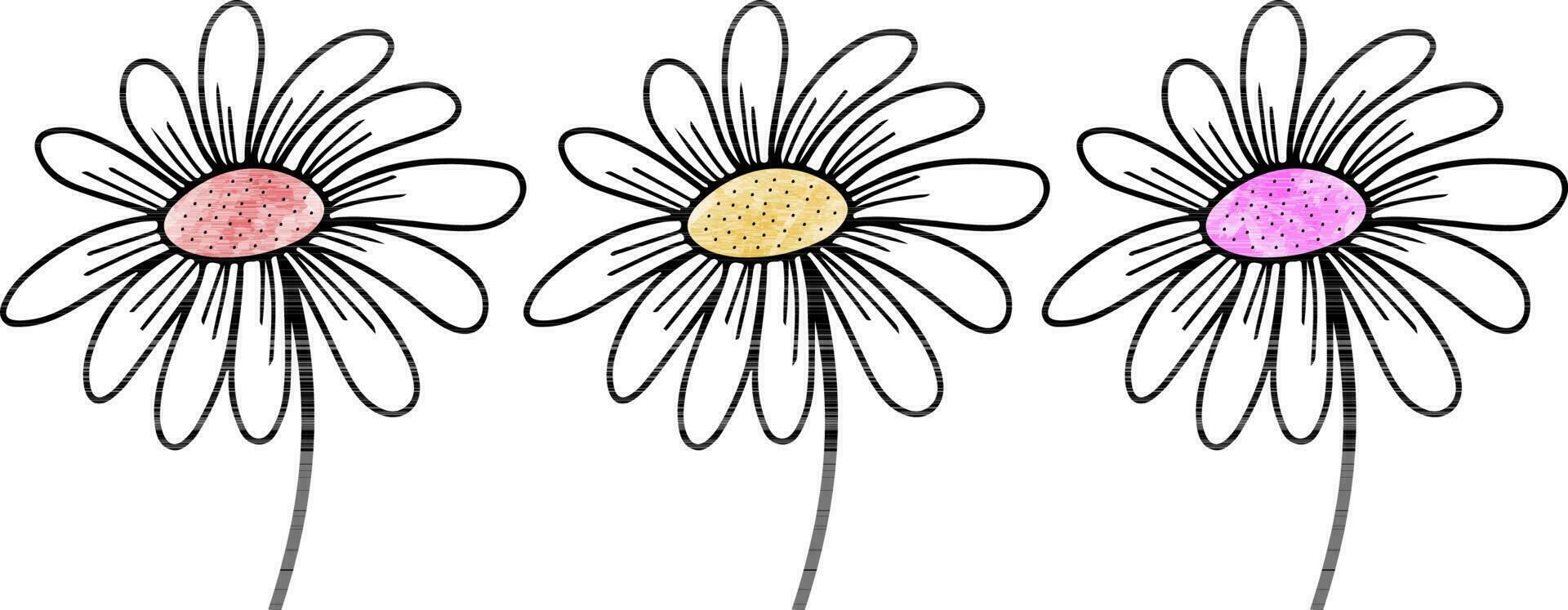 ensemble de vecteur dessin Marguerite fleur aquarelle, floral élément, main tiré botanique illustration