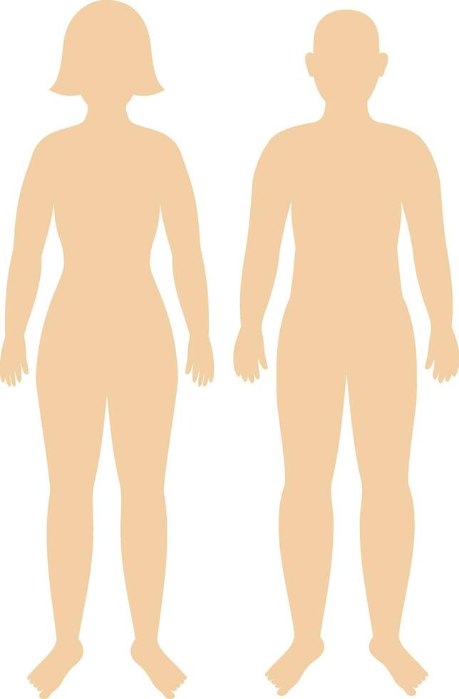 Orange Masculin et femelle corps silhouette sur blanc Contexte. vecteur
