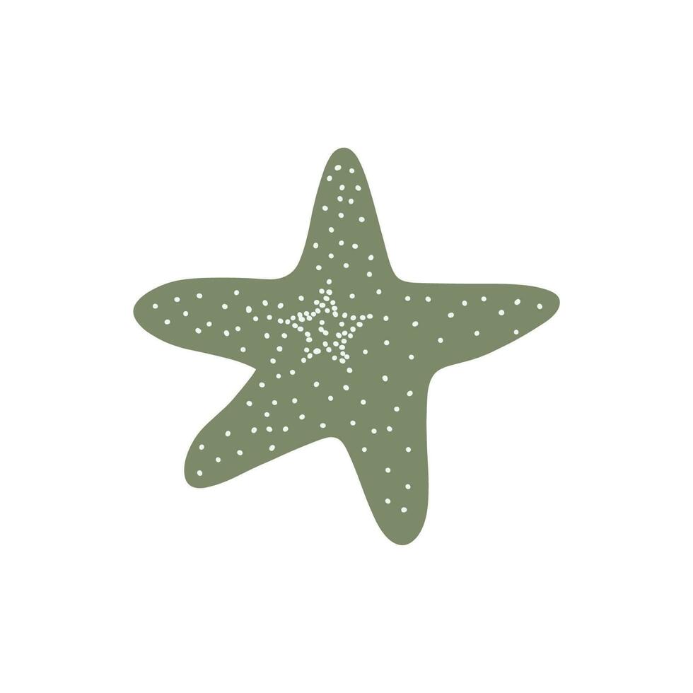 étoile de mer. atlantique étoile. Marin animal vecteur illustration sur blanc Contexte.