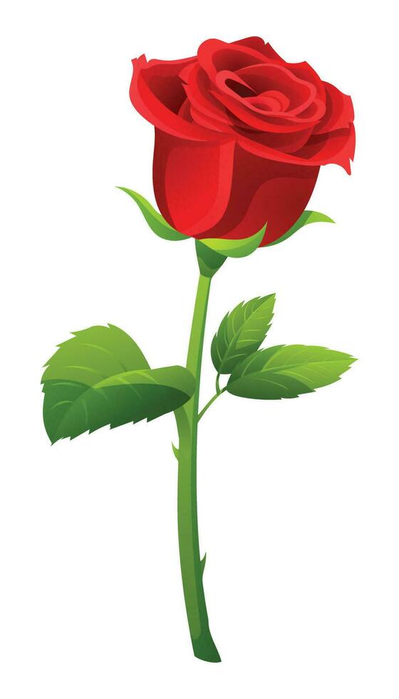 Célibataire rouge Rose vecteur illustration isolé sur blanc Contexte