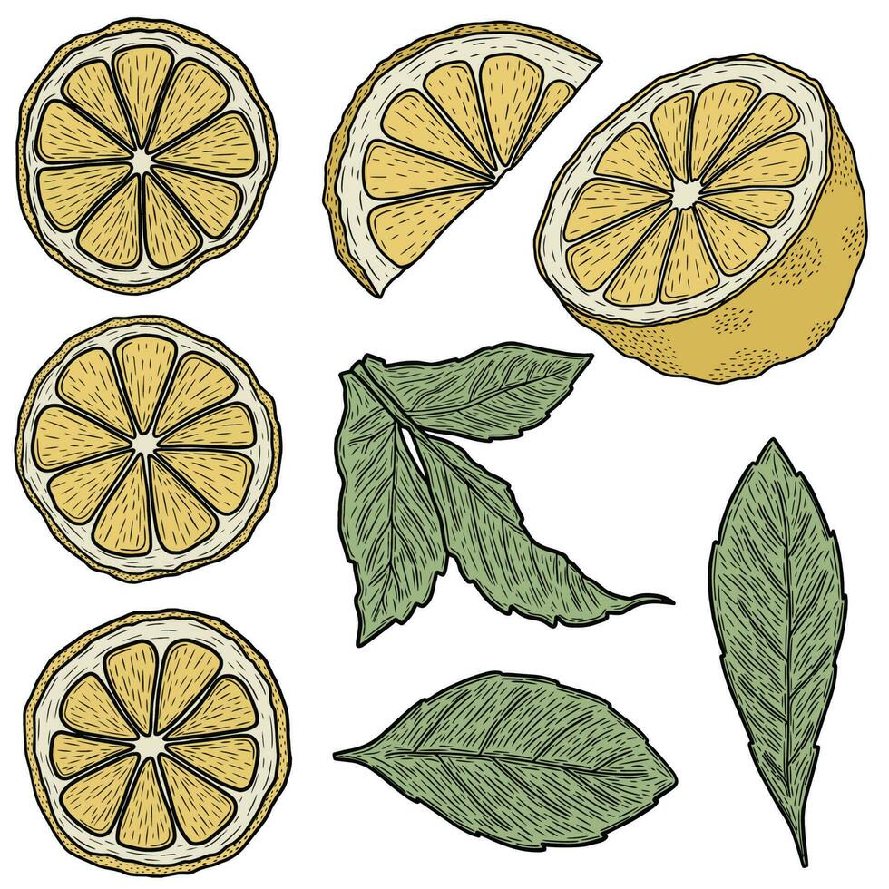 collection de citron avec feuilles, minimaliste ligne vecteur art