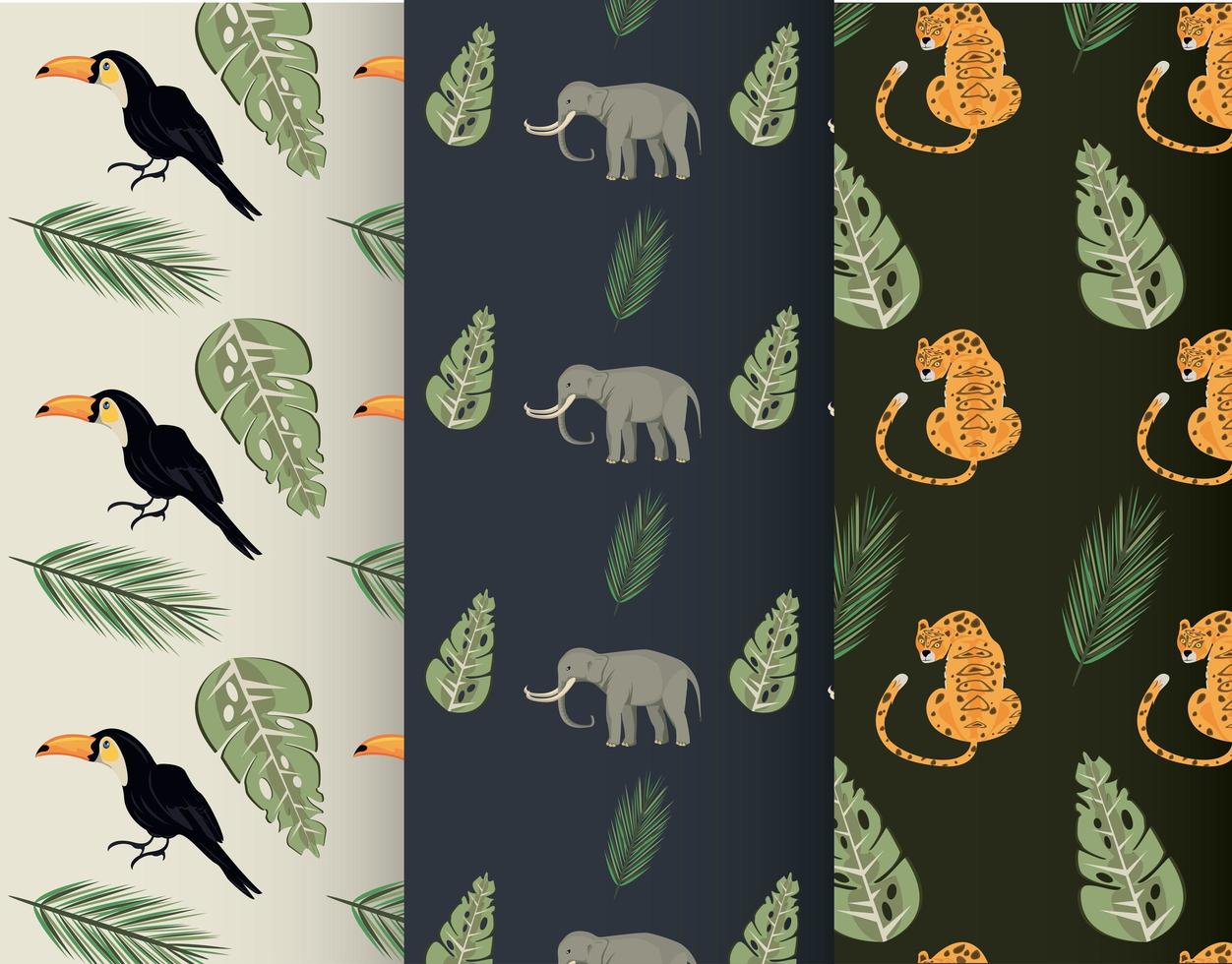 animaux sauvages et motifs de feuilles tropicales vecteur