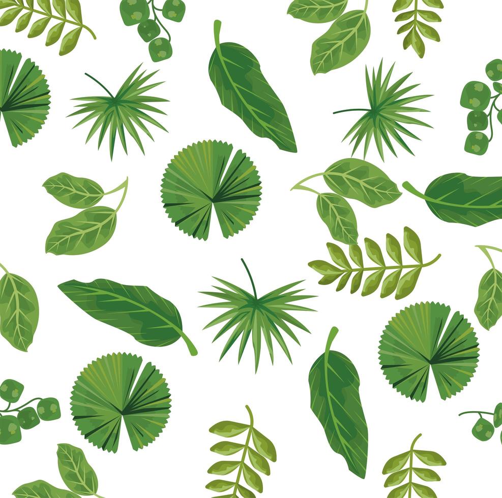 feuilles plantes nature motif de fond vecteur