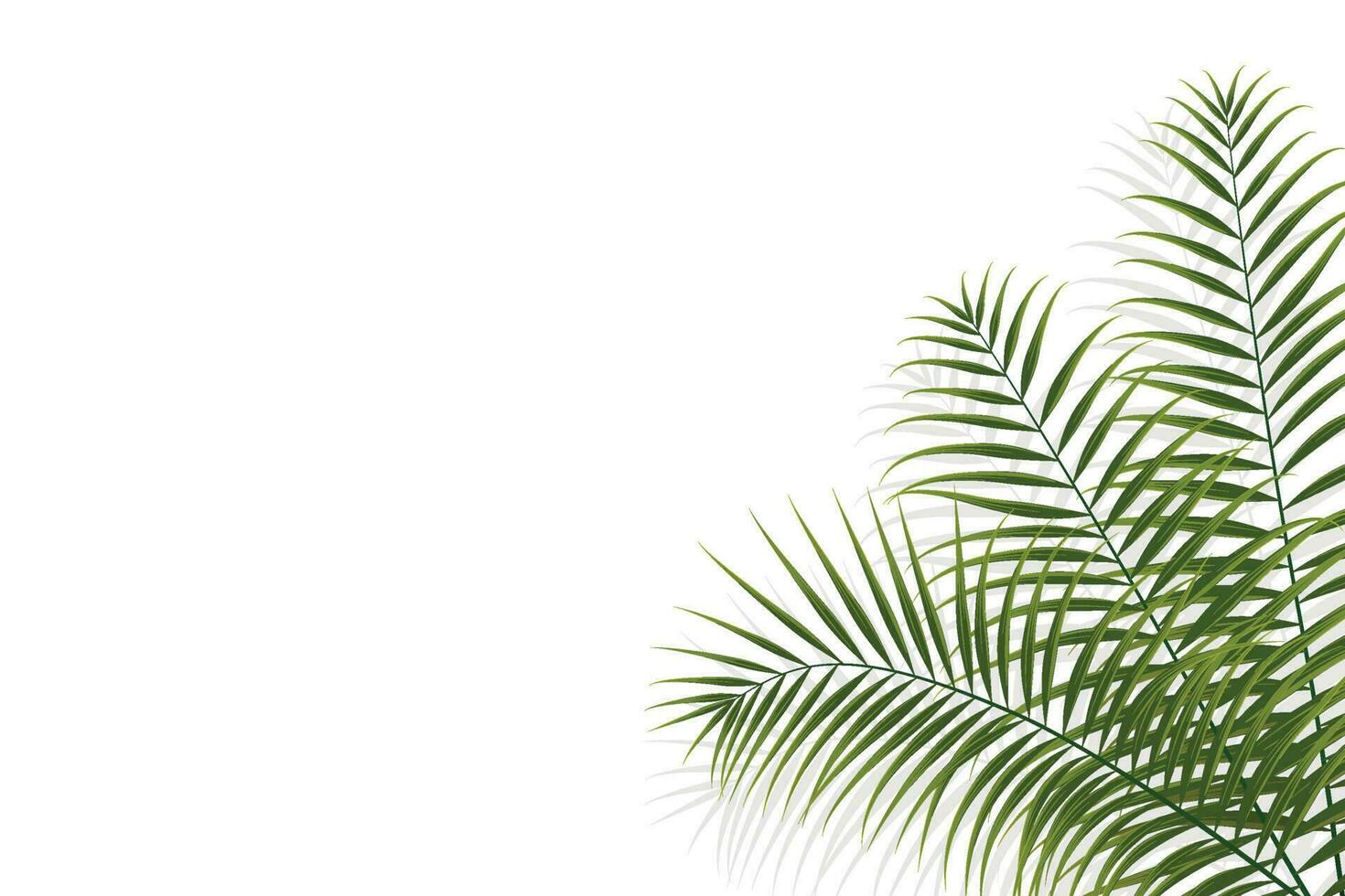 branche de palmier, feuille de cocotier, plante tropicale vecteur